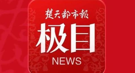 极目新闻app最新版