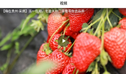 七星关区融媒app最新版