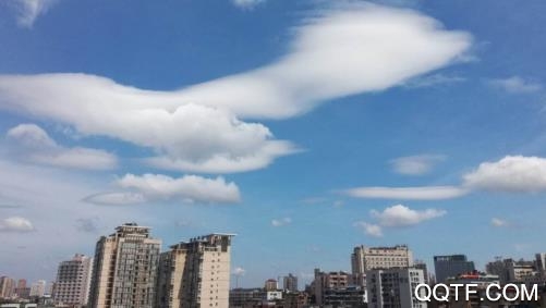 中区融媒手机客户端