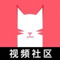 猫咪app 永久免会员版