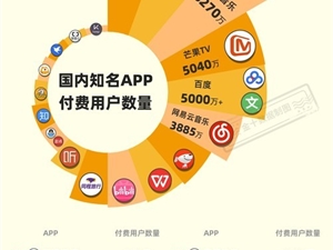 国内APP付费用户数量统计 B站险跌出