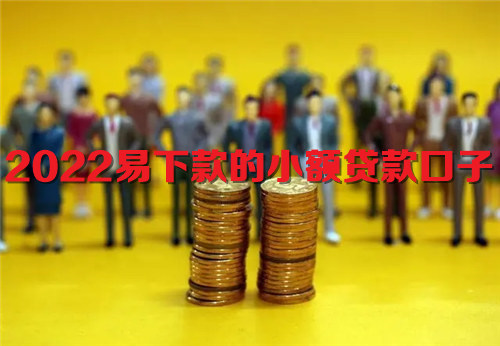 2022易下款的小额贷款口子