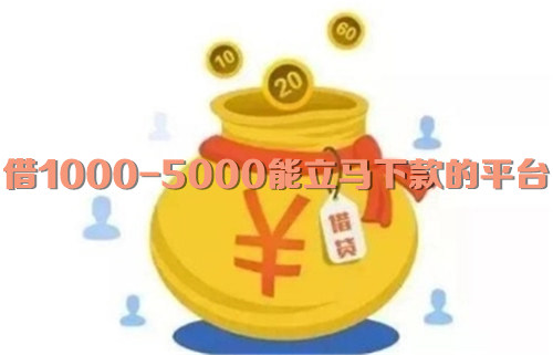 借1000-5000能立马下款的平台