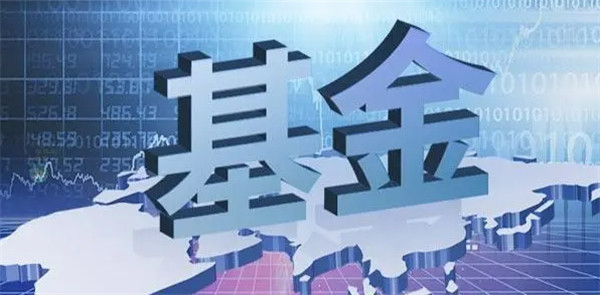 基金持有份额与持有金额区别在哪？体现在哪里
