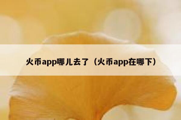 火币app哪儿去了（火币app在哪下） 第1张