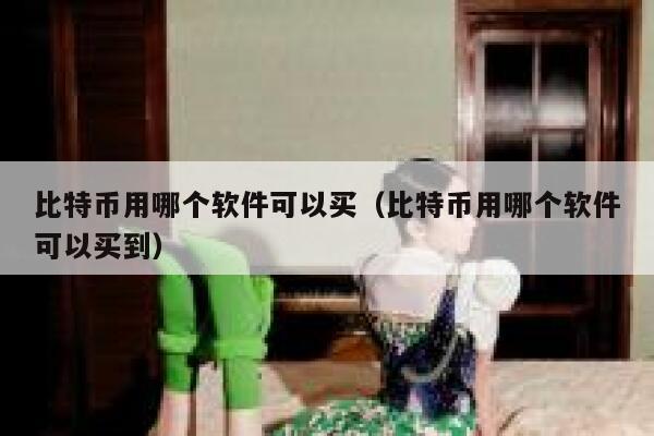比特币用哪个软件可以买（比特币用哪个软件可以买到） 第1张
