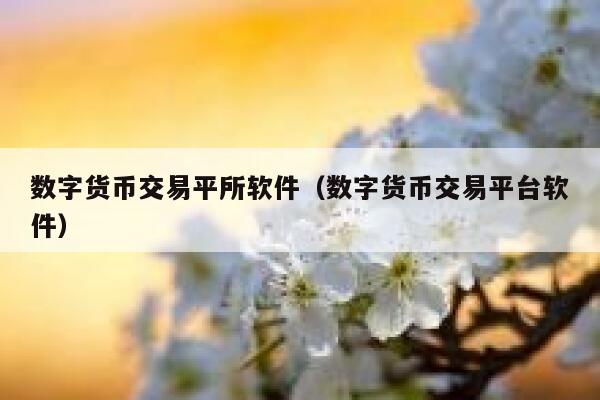 数字货币交易平所软件（数字货币交易平台软件） 第1张