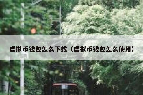 虚拟币钱包怎么下载（虚拟币钱包怎么使用） 第1张
