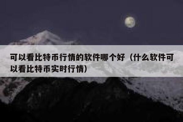 可以看比特币行情的软件哪个好（什么软件可以看比特币实时行情） 第1张