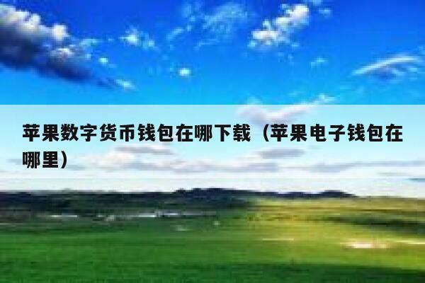 苹果数字货币钱包在哪下载（苹果电子钱包在哪里） 第1张