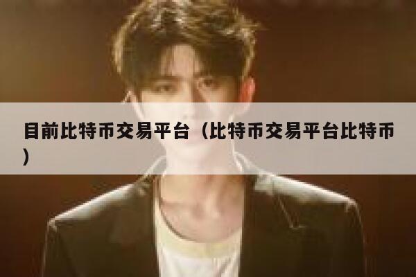 目前比特币交易平台（比特币交易平台比特币） 第1张