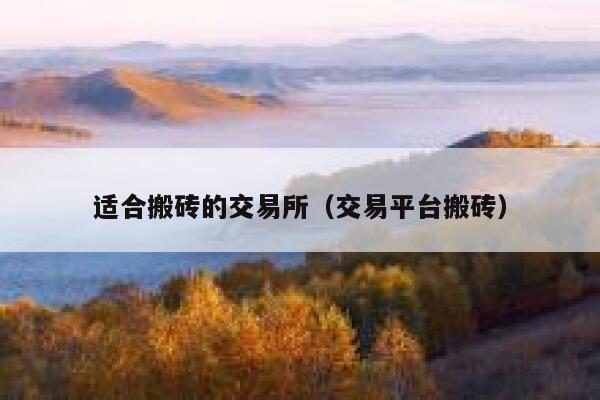 适合搬砖的交易所（交易平台搬砖） 第1张