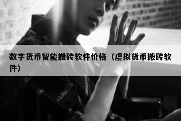 数字货币智能搬砖软件价格（虚拟货币搬砖软件） 第1张