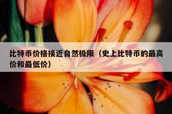 比特币价格接近自然极限（史上比特币的最高价和最低价） 第1张