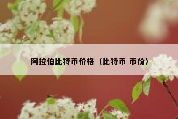 阿拉伯比特币价格（比特币 币价） 第1张