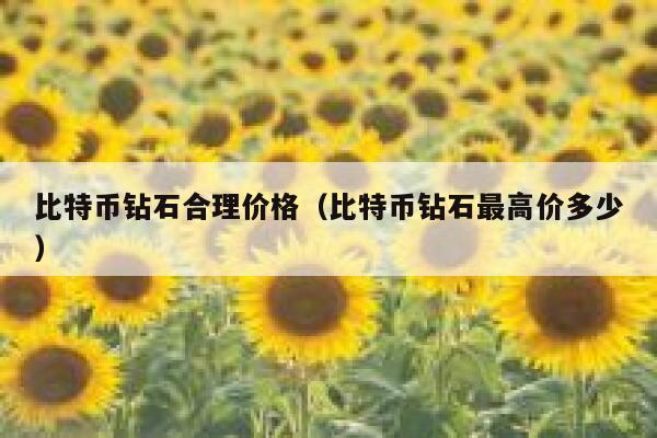 比特币钻石合理价格（比特币钻石最高价多少） 第1张