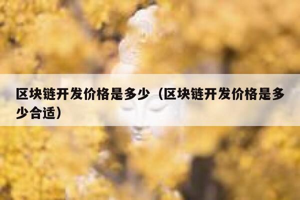 区块链开发价格是多少（区块链开发价格是多少合适） 第1张