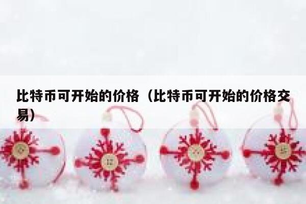 比特币可开始的价格（比特币可开始的价格交易） 第1张