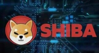 中币为什么不被清退 – 中币会清退中国用户吗