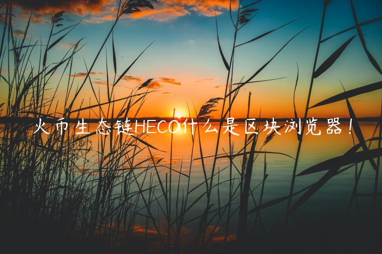 火币生态链HECO什么是区块浏览器！