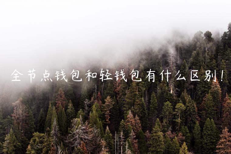 全节点钱包和轻钱包有什么区别！