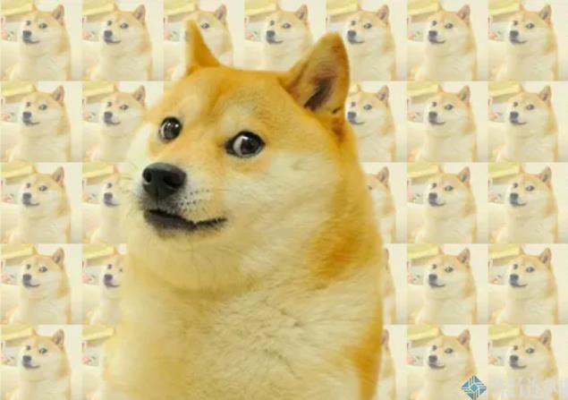 迷因NFT价值四百万美元！柴犬迷因原图即将碎片化 9/2开卖
