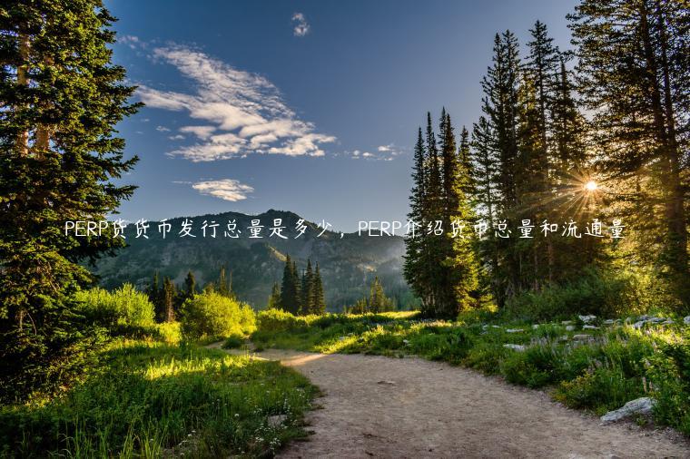 PERP货货币发行总量是多少，PERP介绍货币总量和流通量