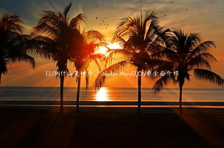 ELON什么是硬币，Dogelon MarsELON币全面介绍
