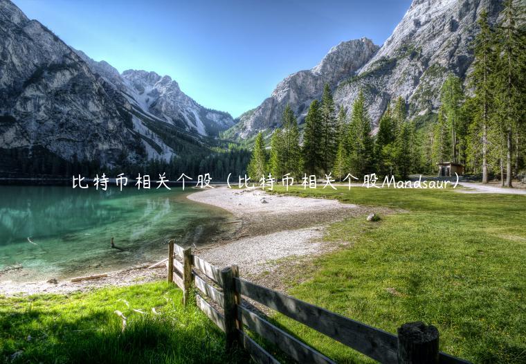 比特币相关个股（比特币相关个股Mandsaur）