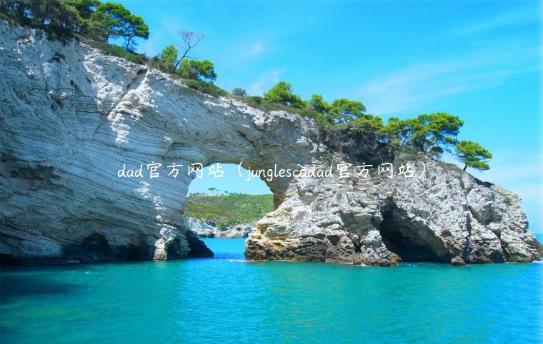 dad官方网站（junglescodad官方网站）