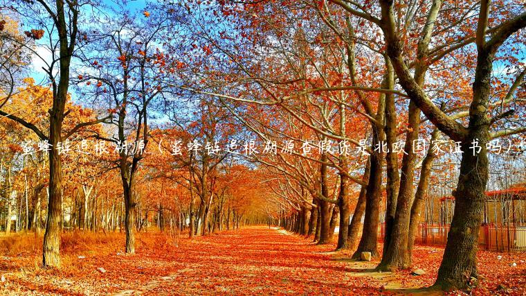 蜜蜂链追根溯源（蜜蜂链追根溯源查假货是北欧国家证书吗）