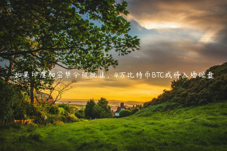 如果印度加密禁令被批准，4万比特币BTC或将入场砸盘