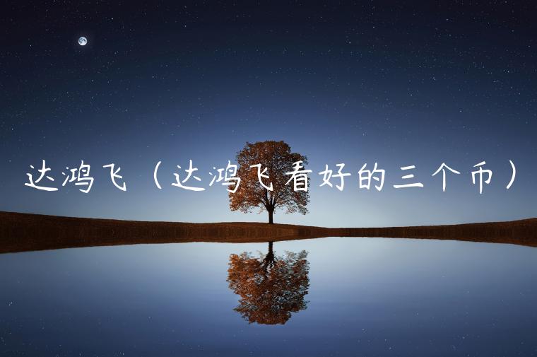 达鸿飞（达鸿飞看好的三个币）