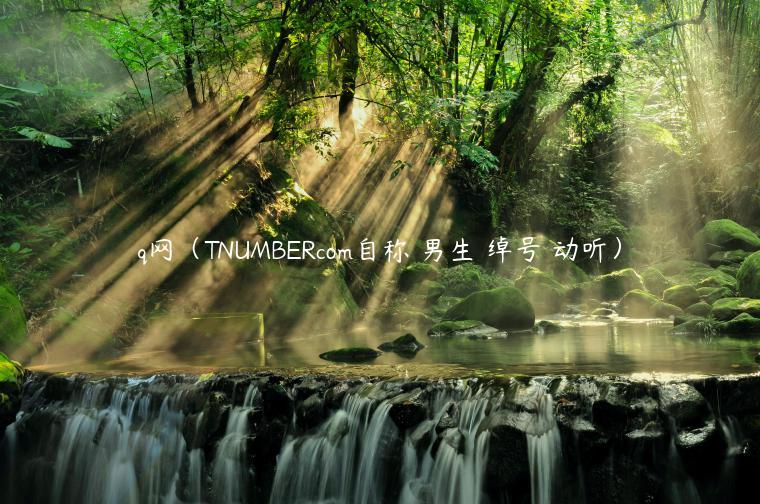 q网（TNUMBERcom自称 男生 绰号 动听）