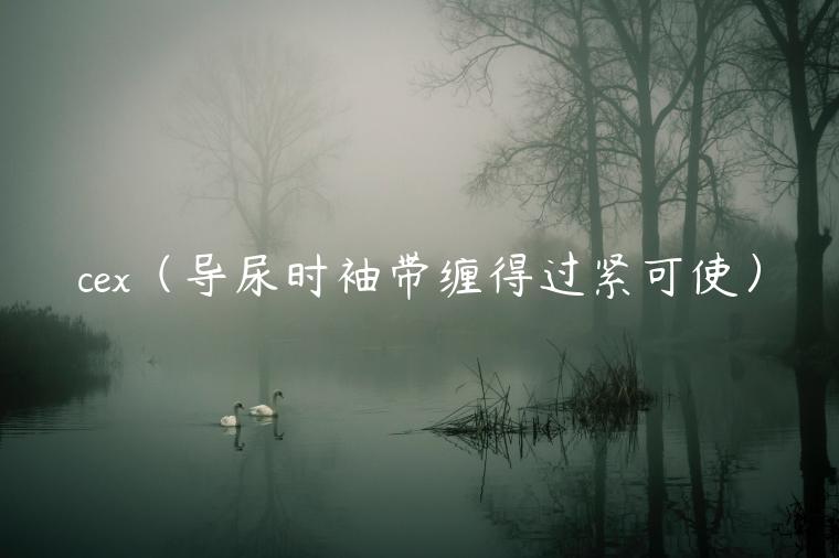 cex（导尿时袖带缠得过紧可使）