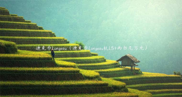 迪克币Longeau（迪克币Longeau机L5+两台几万元）