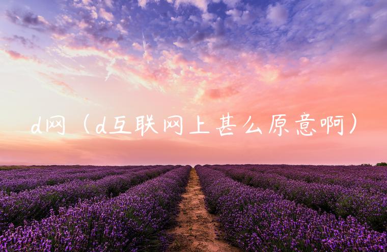 d网（d互联网上甚么原意啊）