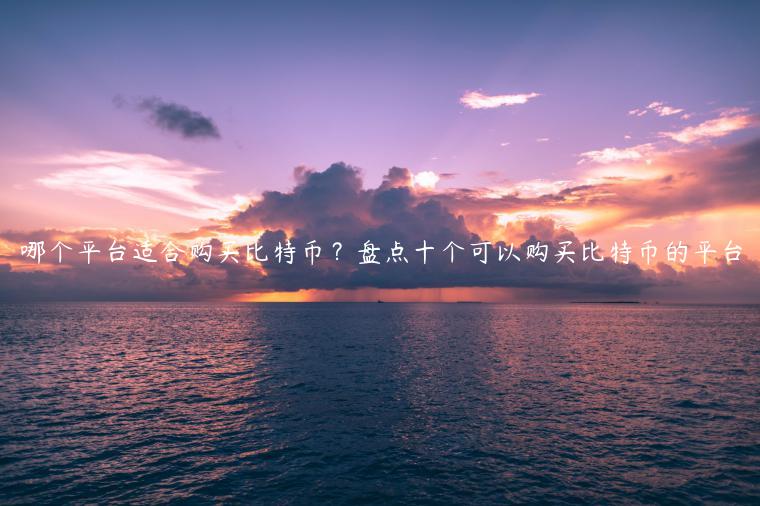 哪个平台适合购买比特币？盘点十个可以购买比特币的平台