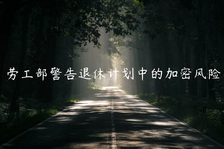 劳工部警告退休计划中的加密风险
