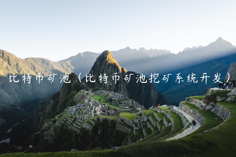比特币矿池（比特币矿池挖矿系统开发）