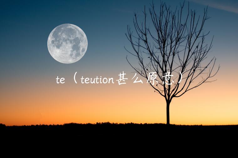 te（teution甚么原意）