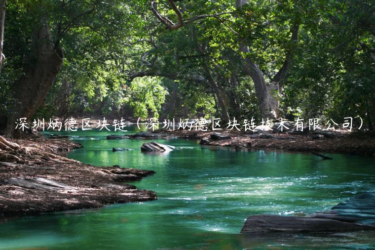深圳炳德区块链（深圳炳德区块链技术有限公司）