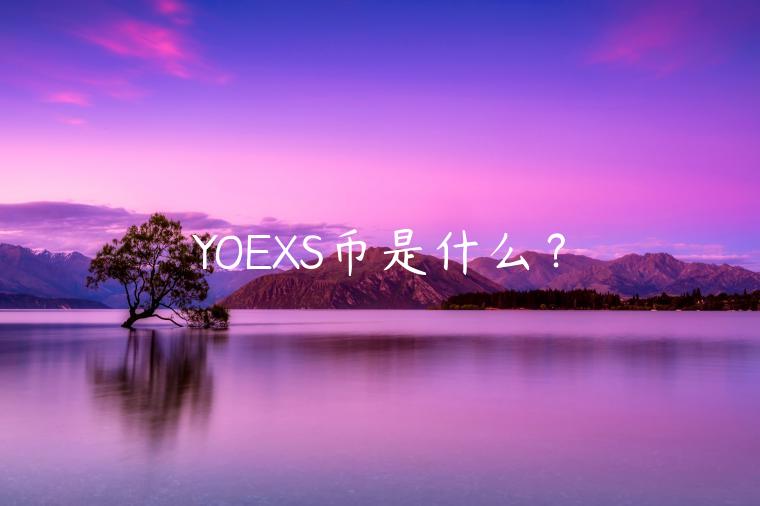 YOEXS币是什么？