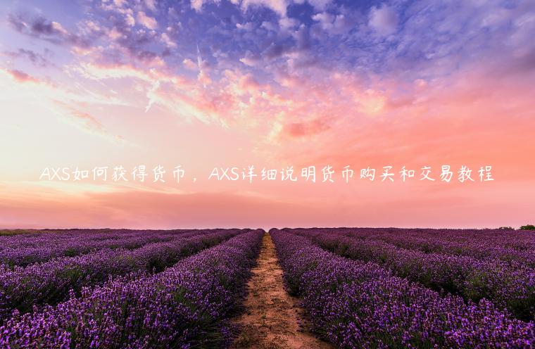 AXS如何获得货币，AXS详细说明货币购买和交易教程