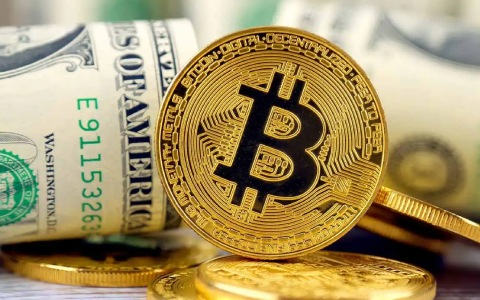 新加坡使用什么平台买卖比特币？loptrade比特币交易平台-第1张图片-欧意下载
