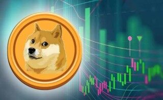dog币最新资讯(DOG币)