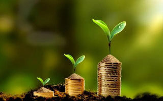 投资管理平台Friktion为机构客户提供低担保加密贷款