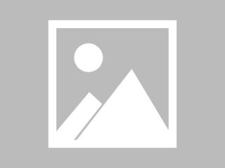 派币啥时候能当成钱用 派币能不能成功