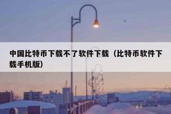 中国比特币下载不了软件下载（比特币软件下载手机版）-第1张图片-欧意下载