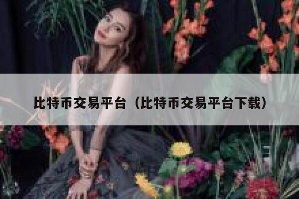 比特币交易平台（比特币交易平台下载）-第1张图片-欧意下载